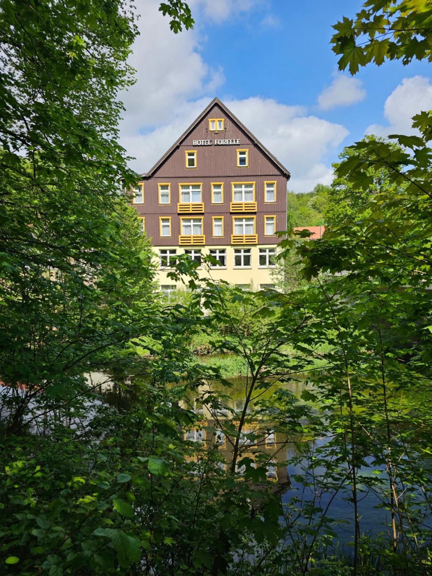Greenline Ferienhotel Forelle Thale Exterior photo